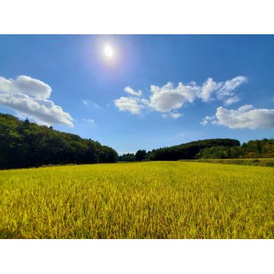 ふるさと納税 新庄市 【毎月定期便】米の匠みのりガーデン/金賞受賞農家の【特上 コシヒカリ】5kg全6回 |  | 01