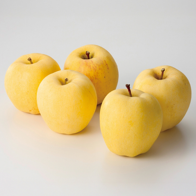 りんご はるか 「冬恋はるか」 約2.5kg 糖度15度以上【先行予約 12月発送予定】 数量限定 岩手県産 りんご リンゴ 林檎 冬恋 はるか フルーツ くだもの 果物 【冬恋研究会】 (AI022