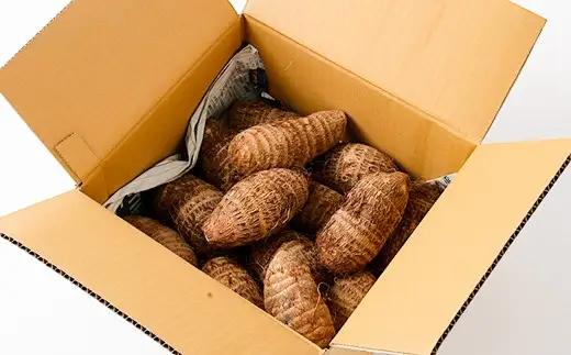 大きめ 赤芽里芋 約3kg 鹿児島県産 ねっとり濃厚 上品な旨味 【2027年1月中旬～3月中旬発送予定】 さといも 赤芽 里芋 ZS-6139