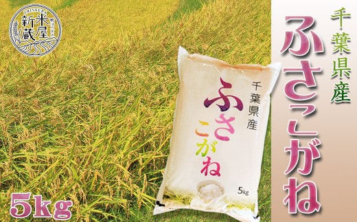 【お米ソムリエ厳選】千葉県オリジナル品種 一等米『ふさこがね』５kg（千葉県産）《令和７年産》《2週間以内に発送》《配送指定OK》千葉県産 ブランド米 コメ 白米 精米 米食味鑑定士 精米したて 色彩選別 [米屋新蔵][0012-0088]