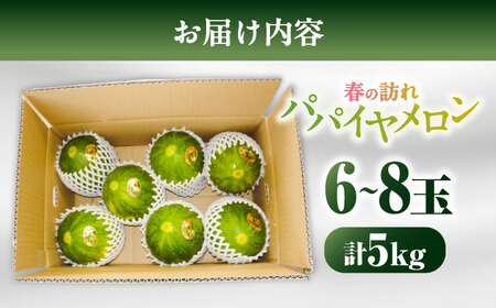 パパイヤメロン 6から8玉 約5kg / メロン めろん 果物 フルーツ / 南島原市 / うえだメロン園[SAD008]