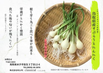 すぷらうとにんにくお試しセット