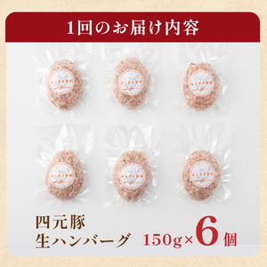 【GIFTON】岩手・北上産四元豚 生ハンバーグ 150ｇ×6個 900g お歳暮 お中元  ギフト プレゼント 母の日 父の日 誕生日 お祝い 卒業祝い 入学祝い バーベキュー BBQ 焼肉 ファミ