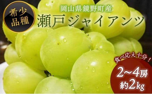 【期間限定】 鏡野町産 瀬戸ジャイアンツ 2kg（2～4房）