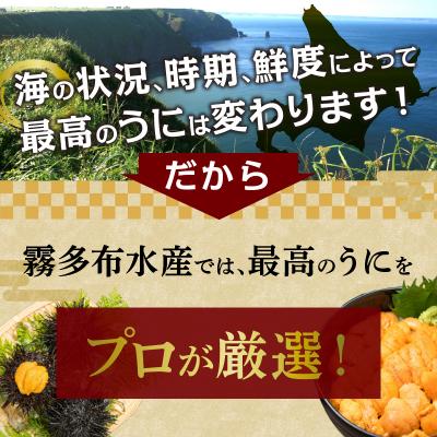 ふるさと納税 浜中町 ≪プロ厳選≫最高級折うに(極)計250g_H0014-007 |  | 01