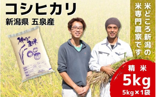 
令和6年産 新米「わくわく農場」の新潟県五泉産コシヒカリ 精米 5kg（5kg×1袋）新潟県 五泉市 わくわく農場
