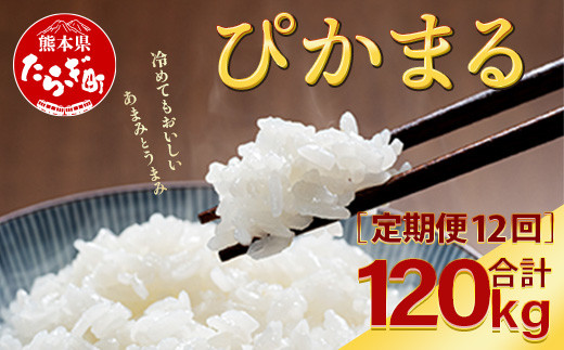 【R6年産米 定期便12回】多良木町産 『ぴかまる』 10kg(5kg×2)×12回 【計 120kg 】  定期便 定期配送 精米 お米 米 艶 粘り 甘み うま味 もちもち 熊本のお米 10キロずつ 120キロ 1年 毎月届く 熊本県 多良木町 044-0595