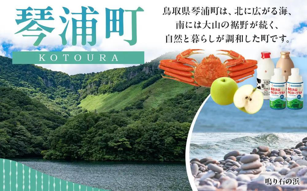 砂丘らっきょう 甘酢漬 180g  5袋入り らっきょう