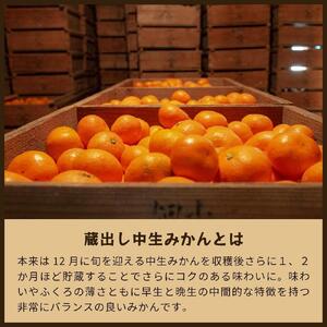 蔵出しみかん中生｜和歌山県海南市下津町の特産品蔵出しみかんの中生品種を産地直送でお届け【2025年1月発送開始】