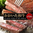 【ふるさと納税】おおいた和牛 サーロイン・リブロース ステーキセット 計720g（180g×4枚） | 大分県 返礼 返礼品 名産 特産 名産品 ご当地 ご当地グルメ お取り寄せ 和牛 牛肉 お肉 サーロイン ステーキ 湯布院 由布院 ゆふいん