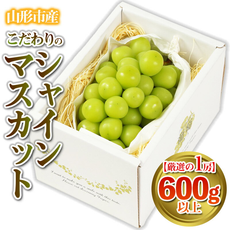 【ふるさと納税】【厳選の1房】こだわりの シャインマスカット 600g以上 山形市産 (9月中旬〜10月上旬順次発送) 【令和7年産先行予約】FS24-543 くだもの 果物 フルーツ 山形 山形県 山形市 お取り寄せ 2025年産