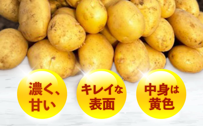 じゃがいも アイユタカ 10kg (S～2Lサイズ/約50～60個) / じゃがいも ジャガイモ ポテト 九州 あいゆたか アイユタカ 野菜 やさい / 諫早市 / スマイルファーム　 [AHFG00