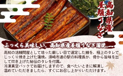 高知県産養殖うなぎ蒲焼 5尾(合計500g以上) - タレ付き たれ 土用の丑の日 鰻 ウナギ かばやき 蒲焼き うな丼 うな重 ギフト お中元 御中元 父の日 お礼 御礼 感謝 プレゼント 送料無料