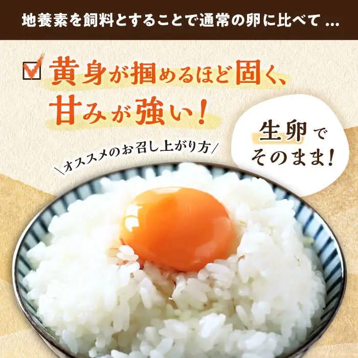 【6回定期便】最高級 卵 地養卵 Mサイズ 40個×6回定期便 長崎県産 西海市 たまご 卵 玉子 タマゴ 鶏卵 オムレツ 卵かけご飯 朝食 料理 人気 卵焼き＜垣山養鶏園＞ [CBB019]
