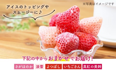 【先行予約】冷凍いちご おまかせ 詰め合わせ 1.5kg【岸川農園】 [IAP001]