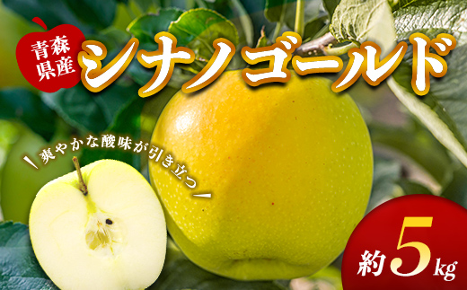 藤崎町産 りんご シナノゴールド 約5kg 【ふじさき季の会】 青森りんご リンゴ 林檎 アップル ふじ発祥の地 おすすめ 東北 青森県 藤崎町 F41-0127