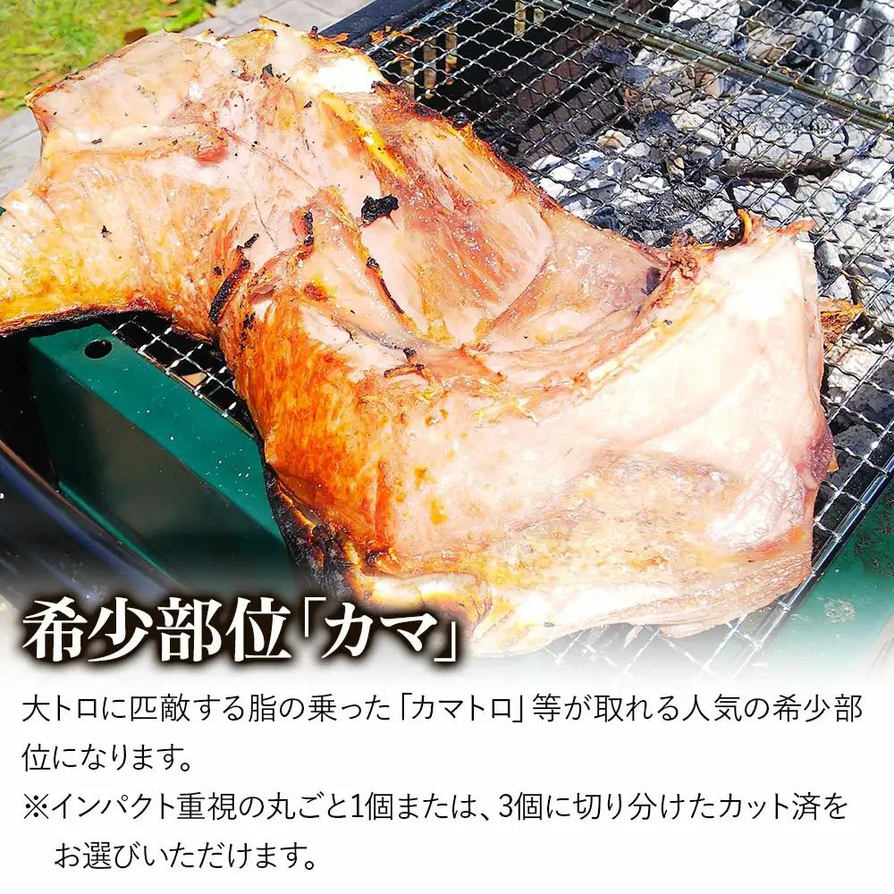 本まぐろ ヨコヅーナ 本まぐろカマ | 津久見市