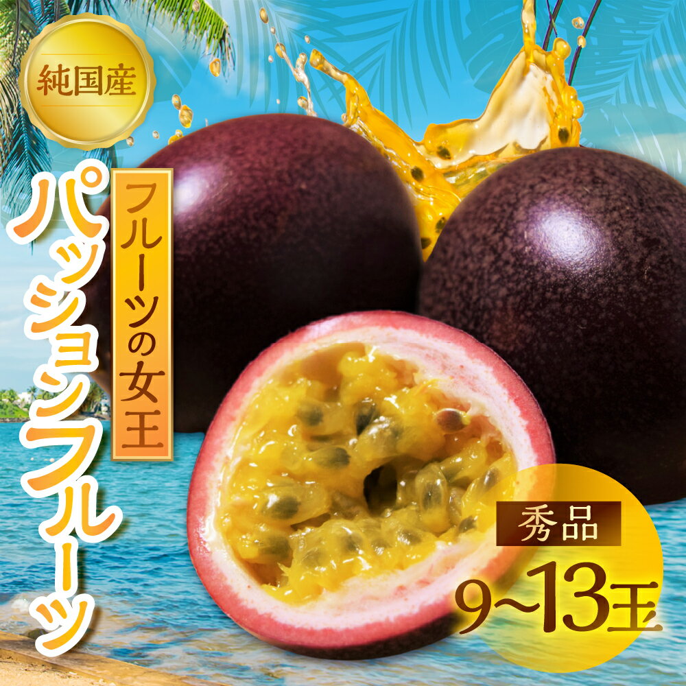 【ふるさと納税】≪先行予約≫ 国産パッションフルーツ 9 ~ 13玉【秀品大玉】冨永さんの パッションフルーツ ギフト 贈答 希少 稀少 数量限定 期間限定 旬 人気 おすすめ 甘い 果物 美味しい 果物 フルーツ 愛知県 豊橋市