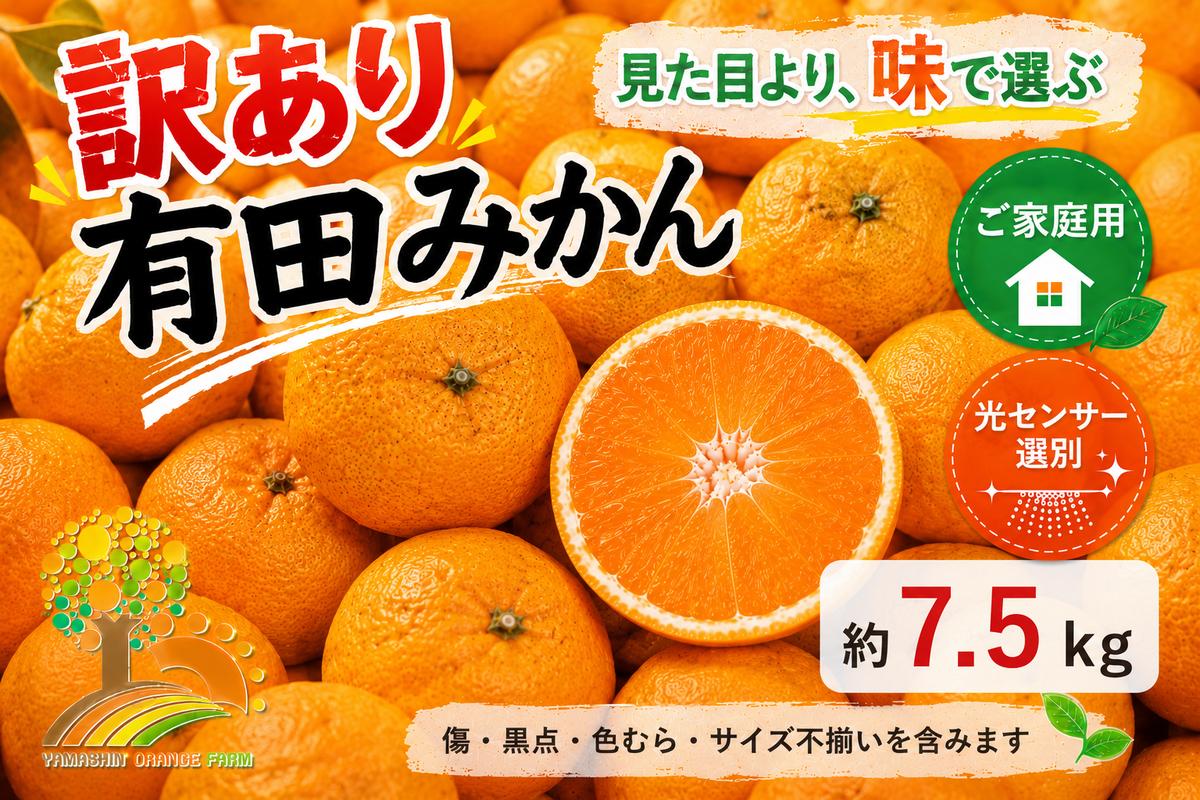 【訳あり】有田みかん 7.5kg | 農家直送 訳あり ご家庭用 サイズ混合 光センサー選別 温州みかん みかん 訳あり わけあり 家庭用  ※2025年11月中旬～12月下旬頃に順次発送予定 ※北海道・沖縄・離島への配送不可