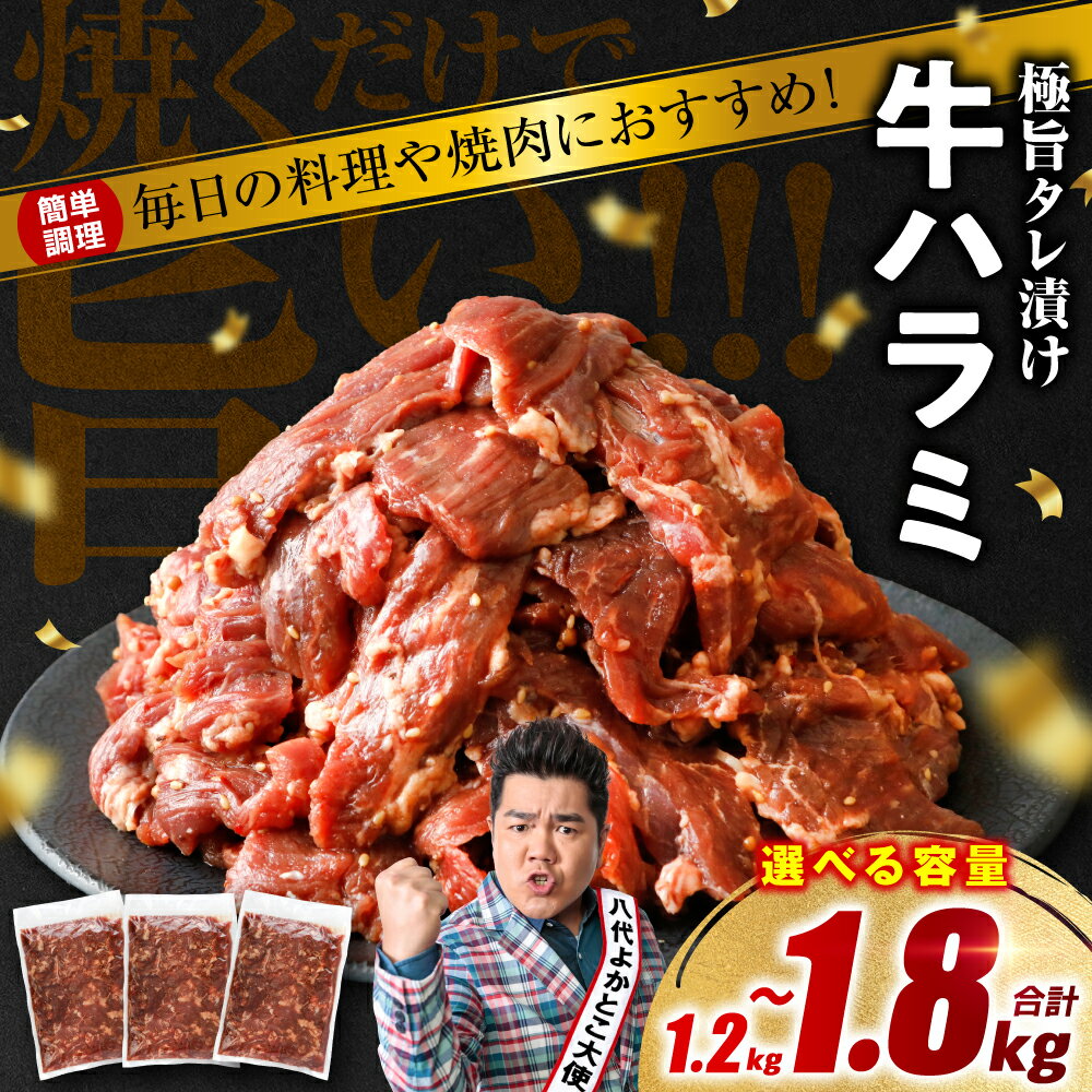 【ふるさと納税】 訳あり 牛肉 ハラミ 焼肉 1.2kg～1.8kg 【選べる内容量・発送月】牛肉 ハラミ焼肉 牛ハラミ ハラミ切り落とし ハラミ丼 焼肉 タレ漬け ご家庭向け 真空 小分け 冷凍 送料無料