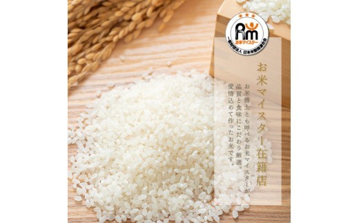 無洗米 お米 米 精米 白米 訳あり ふくめぐみ 5kg (5kg×1袋) 5キロ 無洗米 お米