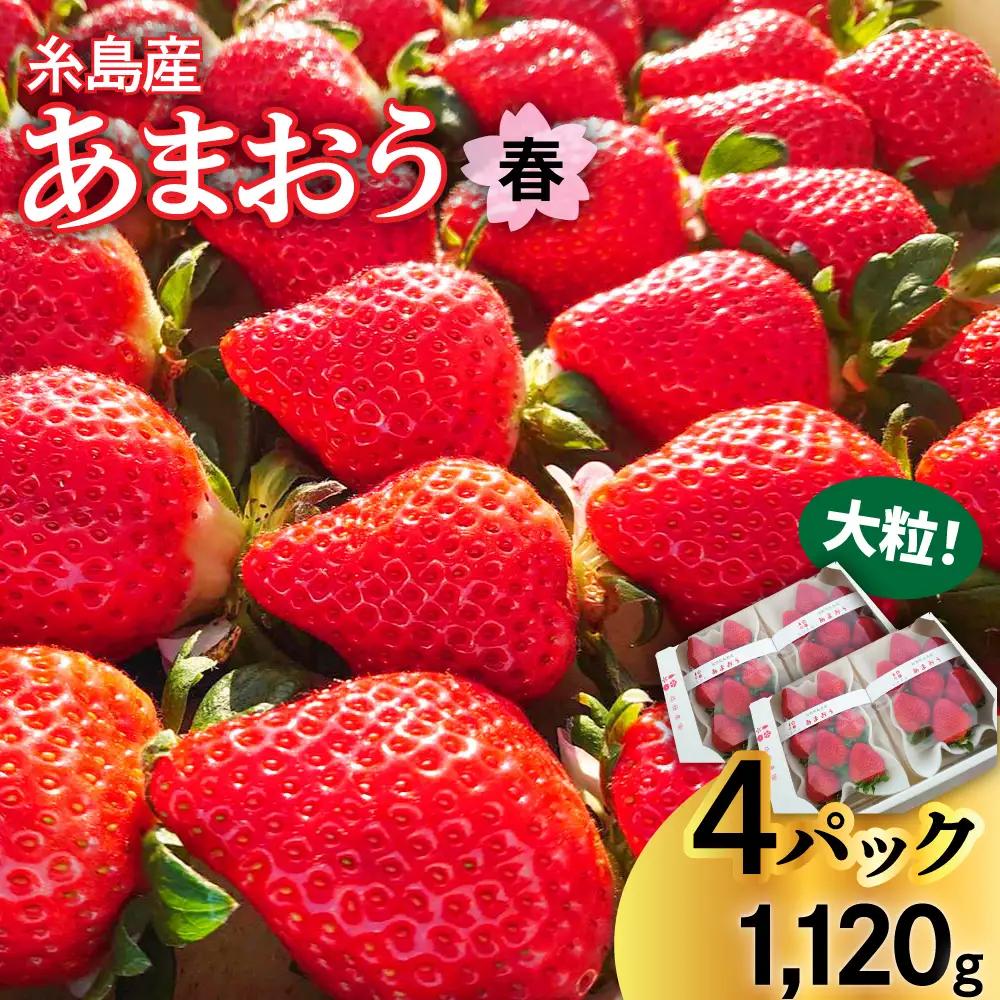 あまおう 【2027年1月下旬以降順次発送】【農家直送！】糸島春あまおう 280g × 4パック DXまたはGサイズ 後藤農園 [AML002] いちご 果実