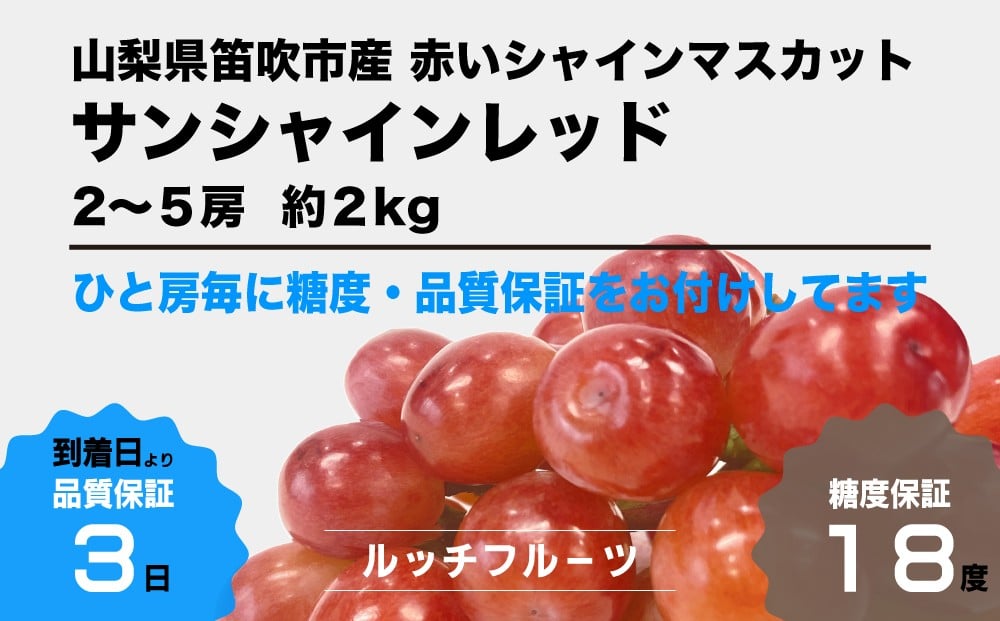 
            【糖度18度保証付】サンシャインレッド 約1kg 2～3房「赤いシャインマスカット」【数量限定】旬の美味しいフルーツだけをお届けします【ルッチ Rucci】 産地直送 山梨県 笛吹市 果物 葡萄 ぶどう 赤ブドウ 赤系 贈答 人気 ギフト 104-019
          