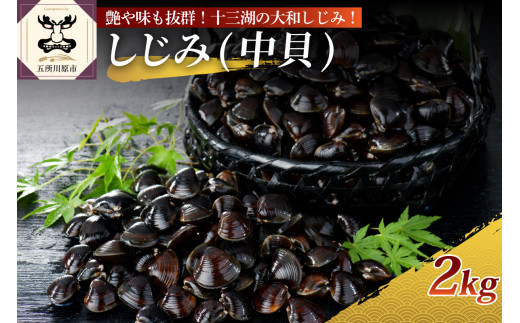 しじみ 十三湖産 大和しじみ（中貝）2kg 冷凍 砂抜き済 ヤマトシジミ 蜆 貝 中サイズ 青森 五所川原