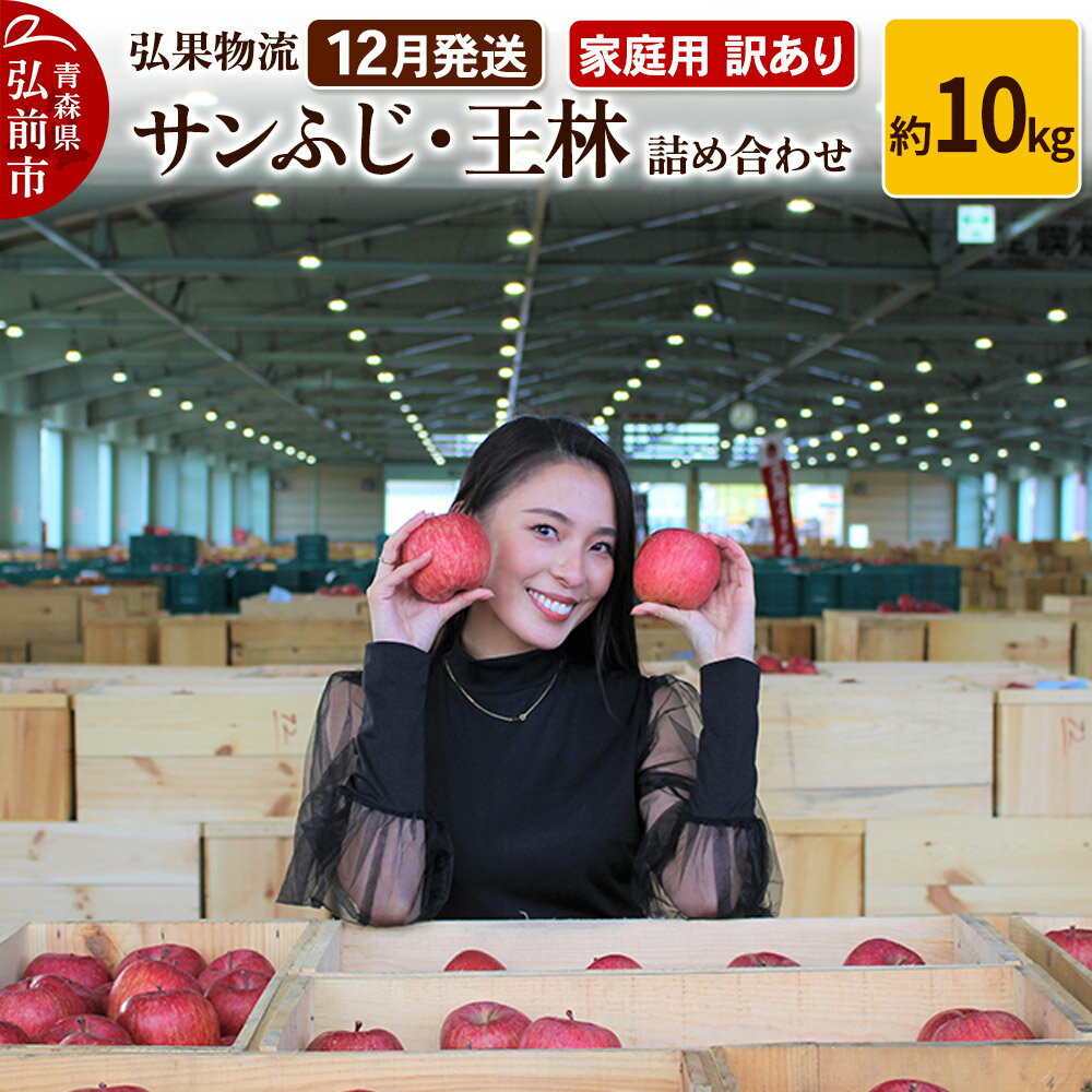 【ふるさと納税】りんご【12月発送】家庭用 訳あり サンふじ・王林 詰め合わせ 約10kg