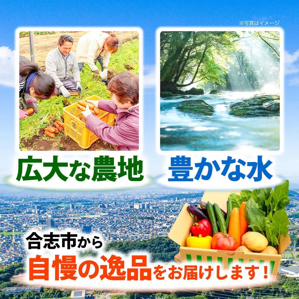 合志の旬のお野菜セット 15品から16品  野菜[AYAB112]
