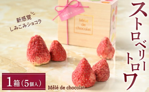 大人気スイーツショップ Mele de chocolat（メレ・ド・ショコラ）ストロベリー トロワ 1箱｜栃木県壬生町 琴寄農園産とちおとめ、とちあいか、スカイベリー 3種のブランド苺使用の贅沢スイーツ