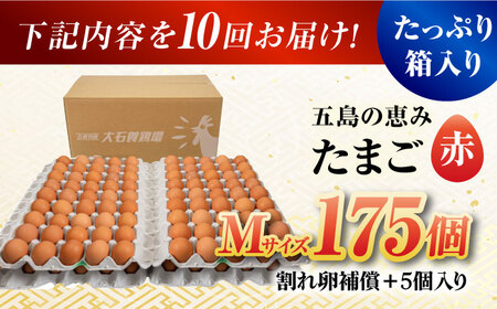 【10回定期便】【箱入り】五島の恵みたまご Mサイズ 175個入 / 卵 赤玉子 五島市 / 五島列島大石養鶏場[PFQ022]  玉子 タマゴ 鶏卵 希少 五島列島