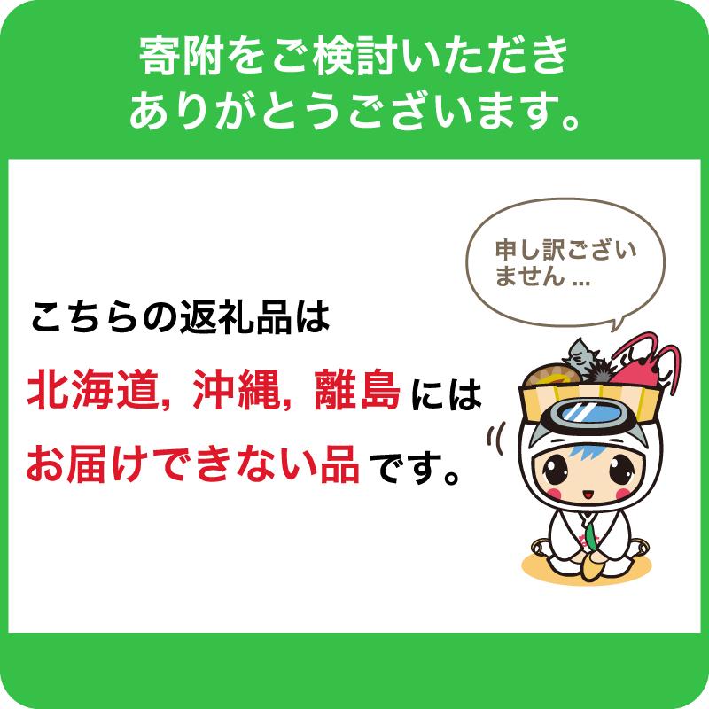 【先行受付 2027年5月～9月上旬発送予定】房州産天然黒あわび約550g mi0014-0007