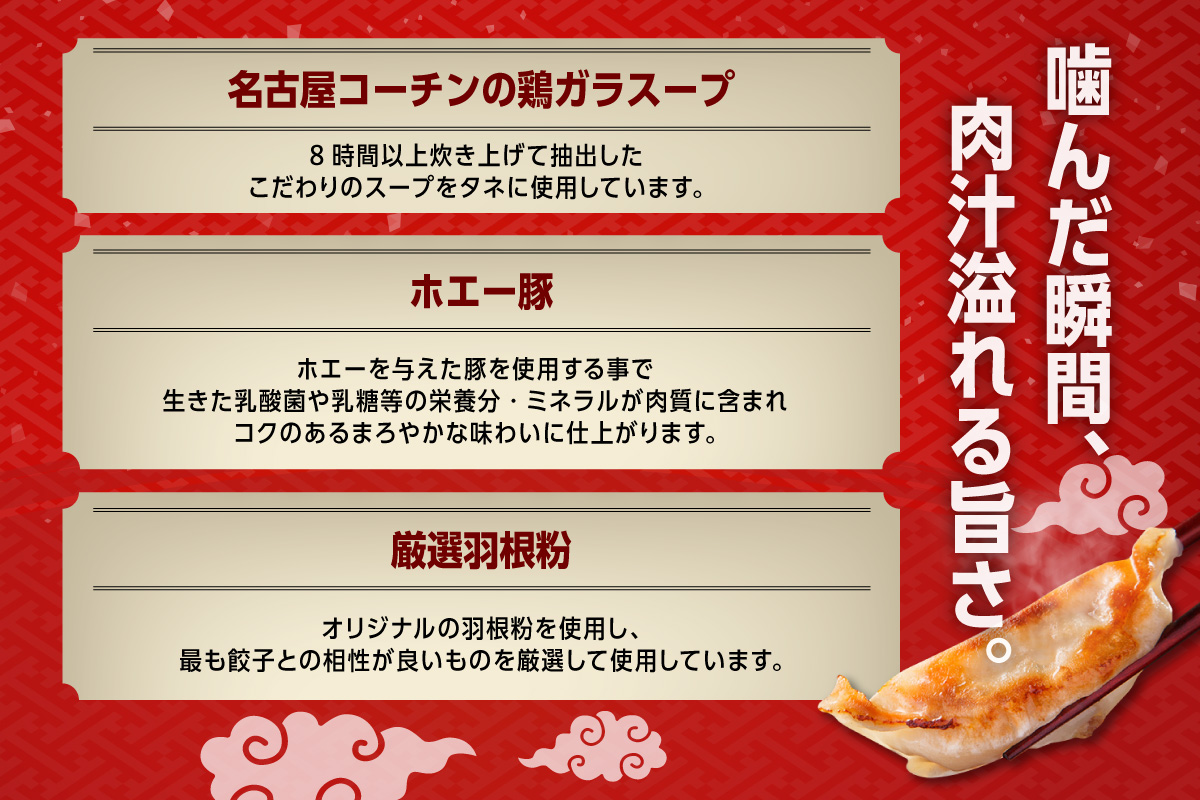 にこにこ餃子の名古屋餃子2種セット（80個入）名古屋餃子のタレ/味噌タレ付（2342）