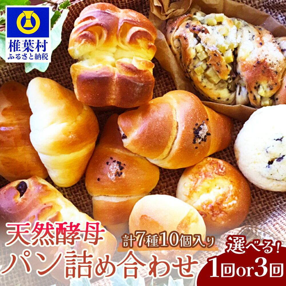 【ふるさと納税】【選べる 回数】天然酵母パン 詰め合わせ 7種10個セット 1回 or 3回定期便｜ 選べる 回数 定期 定期便 パン 冷凍 お取り寄せ 天然 酵母 詰め合せ セット 低温 長時間熟成 メロンパン バターロール ブレッド 食パン 朝食 手作り おすすめ 送料無料 人気｜