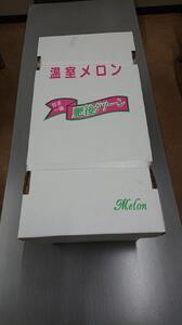 メロン 肥後グリーン 2玉【2026年5月中旬〜7月下旬頃順次発送予定】