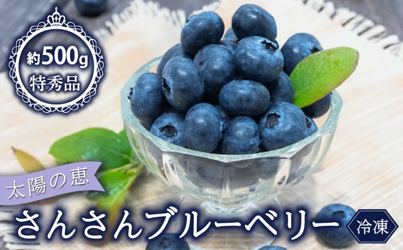 
            【早期予約開始!!2026年5月末より順次発送】【特秀品】 ブルーベリー 500g 冷凍 健康 食品 果物 フルーツ ベリー そのまま おやつ 加工 お菓子 製菓 シャーベット ジャム ソース スムージー いちかわファーム 高知県 須崎市 IF034
          