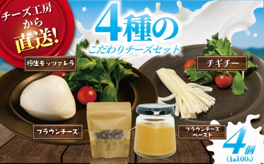 チーズ セット 4種 ちーず CHEESE ちいず ブラウンチーズ 入 モッツァレラ チーズ ブラウンチーズ ペースト チギチー さけるチーズ 極生 ナチュラルチーズ 人気 おっぱいの恵み ビール お