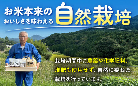 【3回定期便】自然農法で育てた 古代米 三穀米 1.2kg（300g×4袋）雑穀米 /永尾 忠則[UAS014] 雑穀米 栽培期間中農薬不使用 特別栽培米 雑穀米セット 雑穀 常温 小分け チャック 