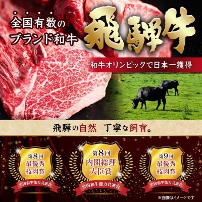 飛騨牛 ひとくちステーキ 食べ比べ2種 約800g【配送不可地域：離島】