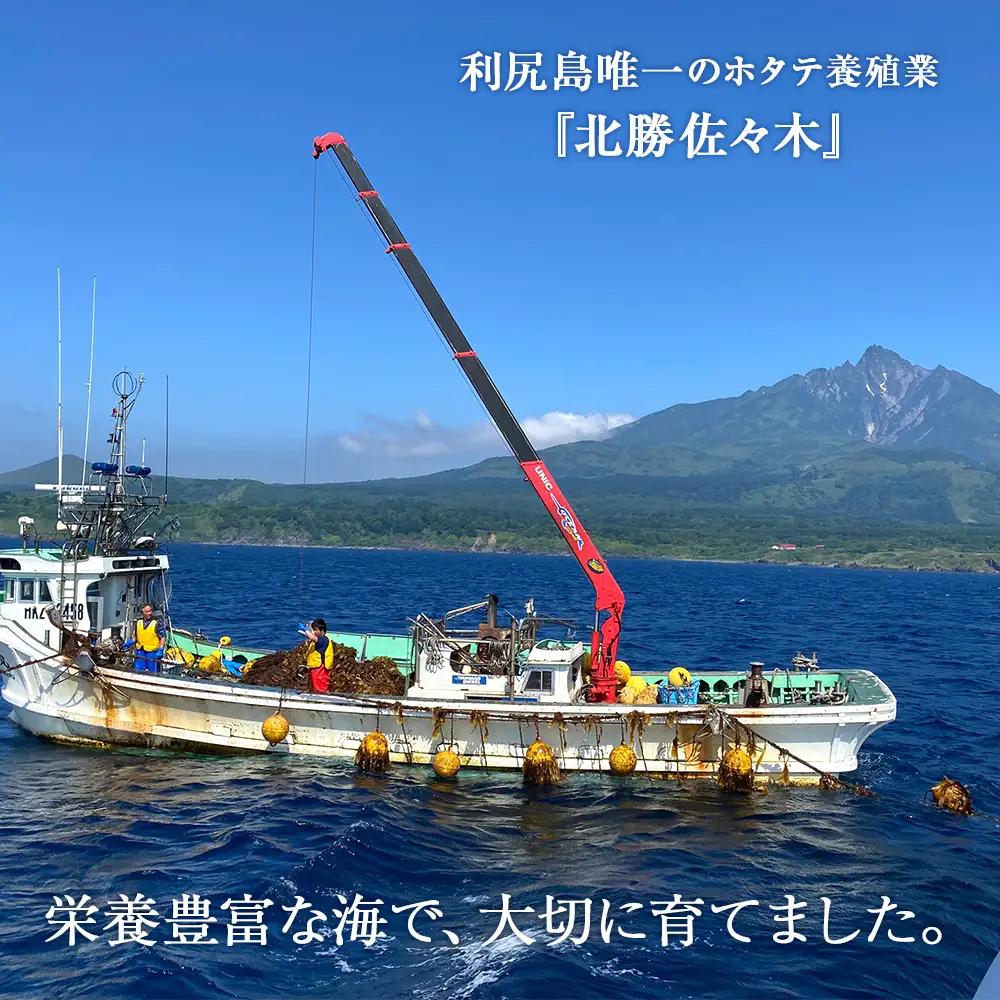 活ホタテ3kg！~2026年順次発送~北海道利尻島から直送！【北勝佐々木】