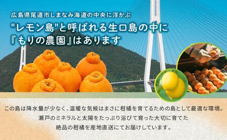 尾道発 厳選！柑橘定期便（全2回）
