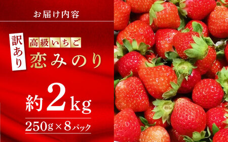 【訳あり】【先行予約】高級 いちご 恋みのり 約2000g【伊藤農園】苺 いちご ストロベリー イチゴ 特産品 オーガニック 有機栽培 [ZBB012]