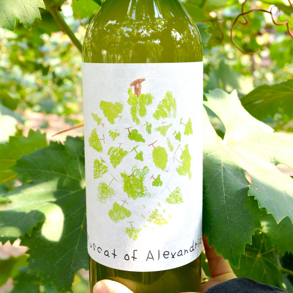 【ふるさと納税】マスカット・オブ・アレキサンドリアジュース 720g ジュース 果実飲料 飲料 ソフトドリンク フルーツ 果実 くだもの 果物 マスカット ぶどう ブドウ 葡萄 岡山県産 国産 岡山県 倉敷市 送料無料