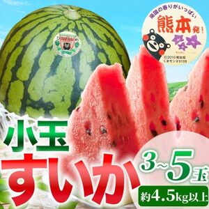 小玉すいか 3～5玉入り M～3Lサイズ 約4.5kg以上(益城町)【1684314】