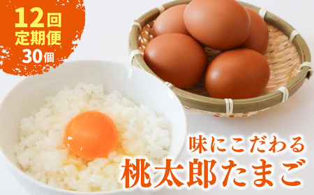 【12回定期便】タマゴ好きにはたまらない 桃太郎たまご 6個入り×5セット | 卵 赤卵 生卵 鶏卵 卵白 卵定期便