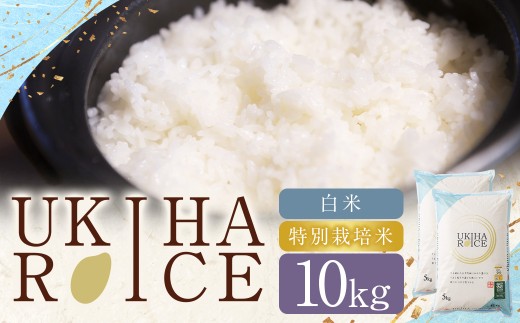 UKIHA RICE 白米 10kg （特別栽培米） 【2025年11月上旬から2026年3月下旬発送予定】 ヒノヒカリ ひのひかり 精米 米 こめ コメ お米 おこめ 白米 精米 ごはん ご飯 お中元 お歳暮 ギフト プレゼント 贈答品 おすすめ 国産