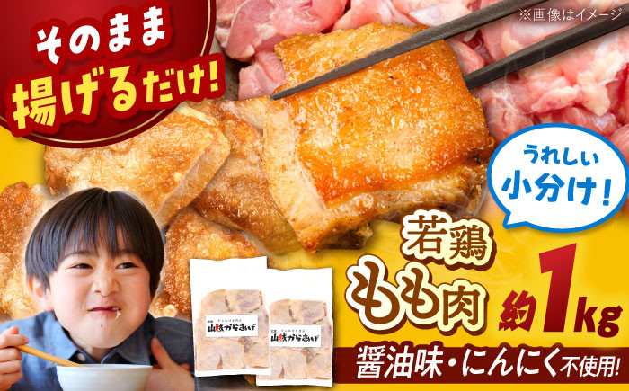 
            【山賊からあげ】【小分けタイプ】味付き 鶏もも肉 (からあげ用) 8個×2袋 ▼ 骨なし 鶏もも 鶏もも肉 小分け 唐揚げ用 からあげ 冷凍 唐揚げ から揚げ お弁当 簡単 おすすめ 人気 鶏肉 若鶏 若どり モモ肉 もも肉 冷凍配送 桂川町/山賊からあげ桂川店 [ADAP009]
          