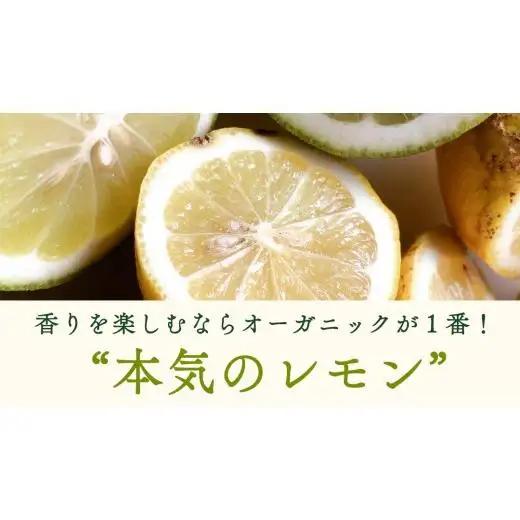 【 先行予約 】 瀬戸内 オーガニック レモン 3kg (24～30個程度) 2027年2月～3月発送