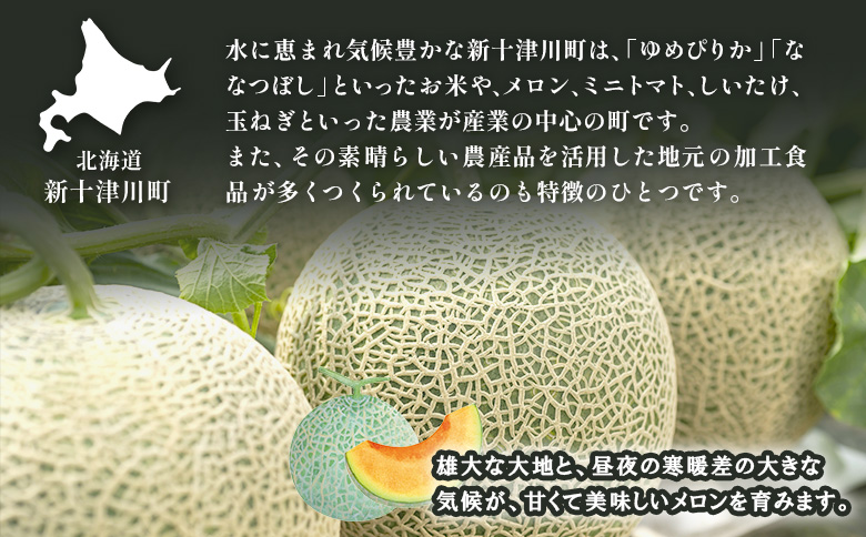 【先行予約】【数量限定】 赤肉メロン3玉【令和8年7月~8月上旬発送】【12032】